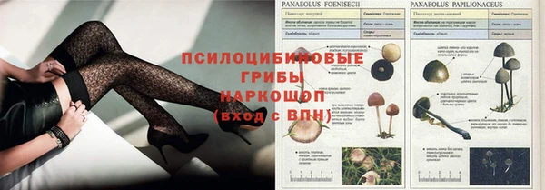 каннабис Алексин