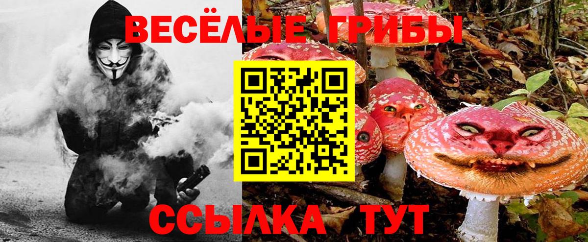 Галлюциногенные грибы мицелий  Вход с VPN  Светлоград 