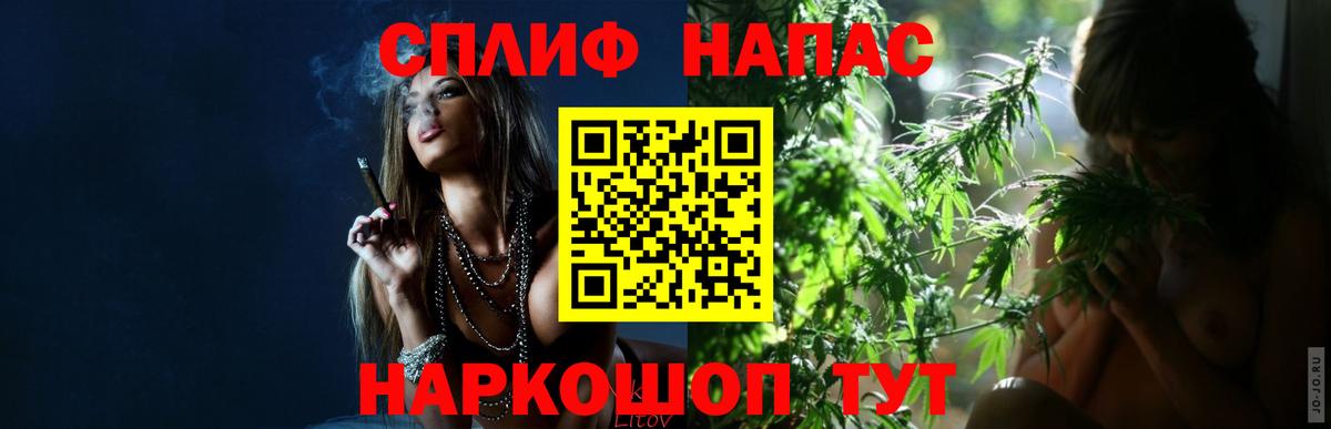 Каннабис OG Kush Светлоград